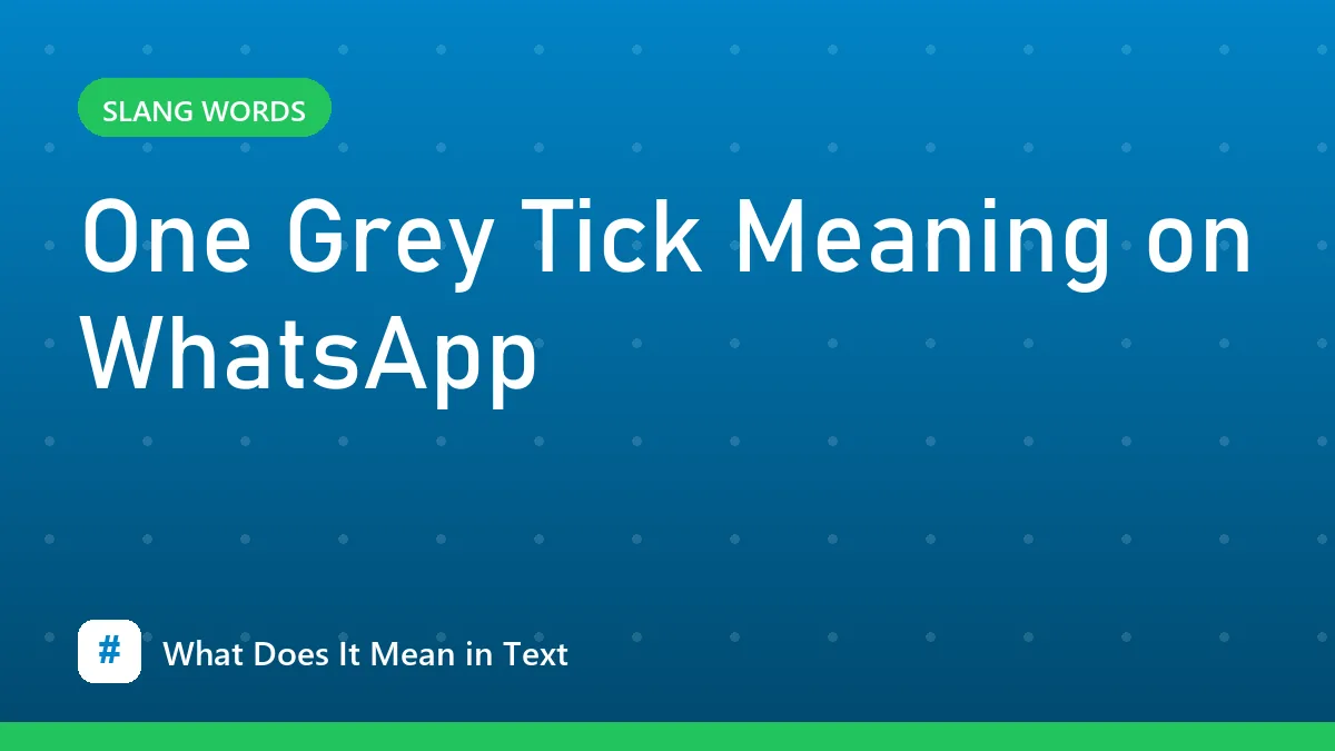 One Grey Tick Meaning on WhatsApp