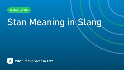 Stan Meaning in Slang