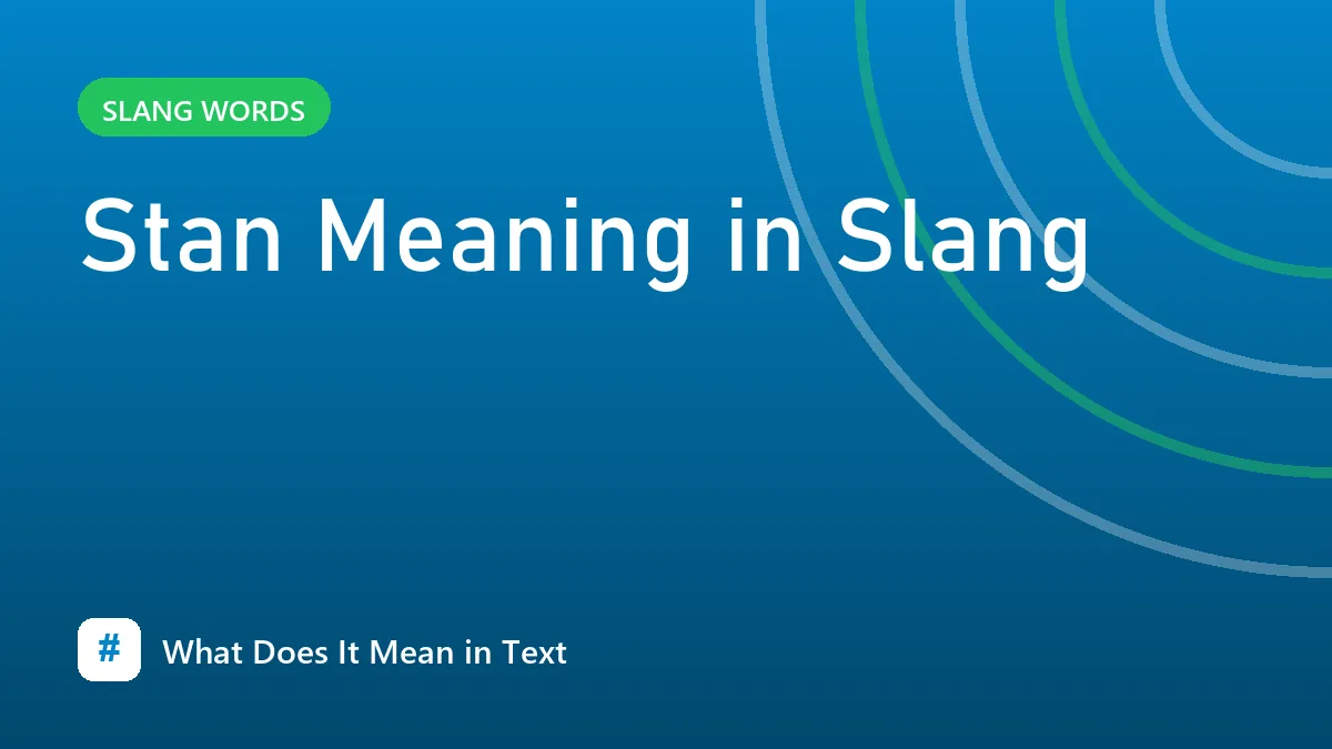 Stan Meaning in Slang