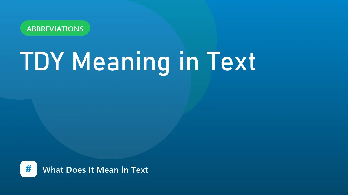 TDY Meaning in Text